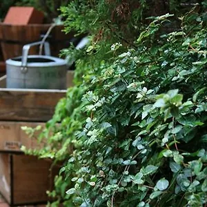 *** Отель Garden Япония